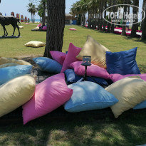 фото из отзыва ID 2342065