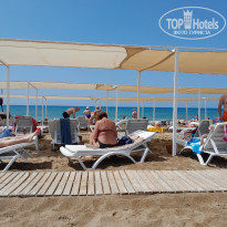 фото из отзыва ID 2342095