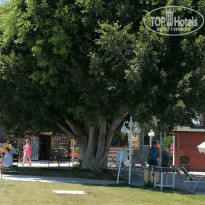 фото из отзыва ID 2342065