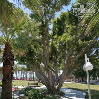 фото из отзыва ID 2342065