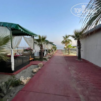 фото из отзыва ID 2342108