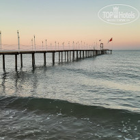 фото из отзыва ID 2342100