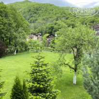 фото из отзыва ID 2341890