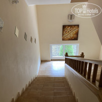 фото из отзыва ID 2341890