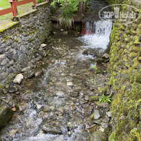 фото из отзыва ID 2341890