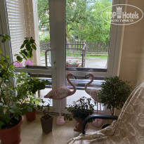 фото из отзыва ID 2341890