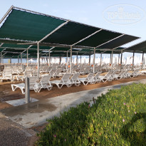 фото из отзыва ID 2342292