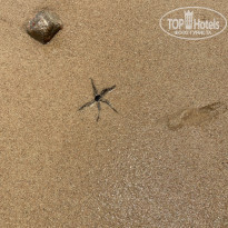 фото из отзыва ID 2342306