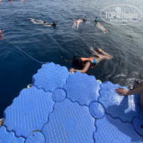 фото из отзыва ID 2342306