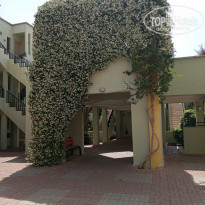 фото из отзыва ID 2342292