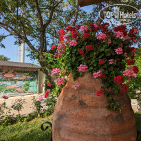 фото из отзыва ID 2342213