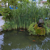 фото из отзыва ID 2342213