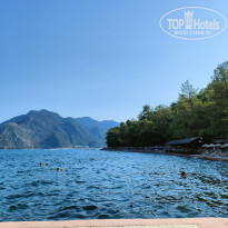 фото из отзыва ID 2342380