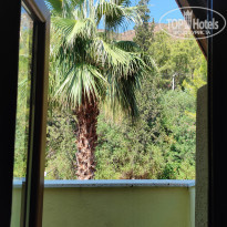 фото из отзыва ID 2342380