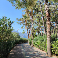 фото из отзыва ID 2342380