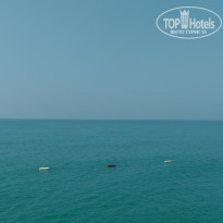 фото из отзыва ID 2342402