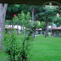 фото из отзыва ID 2342402