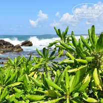 фото из отзыва ID 2342425