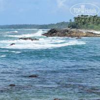 фото из отзыва ID 2342425