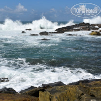 фото из отзыва ID 2342425