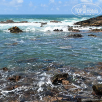 фото из отзыва ID 2342425