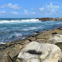 фото из отзыва ID 2342425