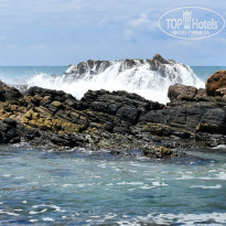 фото из отзыва ID 2342425