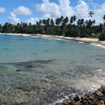 фото из отзыва ID 2342425