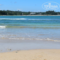 фото из отзыва ID 2342425