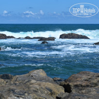 фото из отзыва ID 2342425