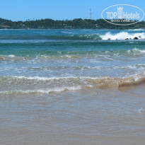 фото из отзыва ID 2342425