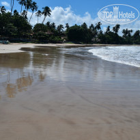 фото из отзыва ID 2342425