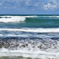 фото из отзыва ID 2342425