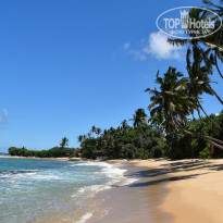 фото из отзыва ID 2342425