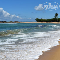 фото из отзыва ID 2342425