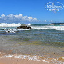 фото из отзыва ID 2342425