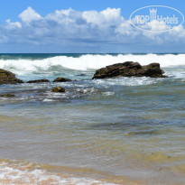 фото из отзыва ID 2342425