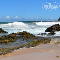 фото из отзыва ID 2342425