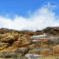 фото из отзыва ID 2342425