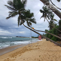 фото из отзыва ID 2342425