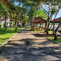 фото из отзыва ID 2342425