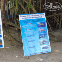 фото из отзыва ID 2342425