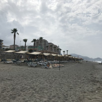 фото из отзыва ID 2342468