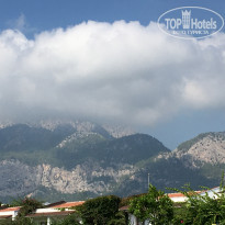 фото из отзыва ID 2342561