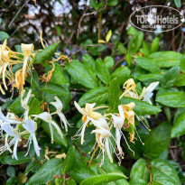 фото из отзыва ID 2342570