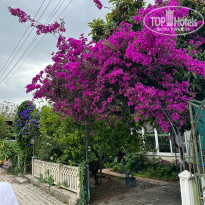 фото из отзыва ID 2342570