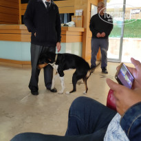 фото из отзыва ID 2340539