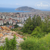 фото из отзыва ID 2340539