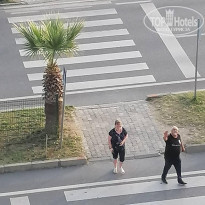 фото из отзыва ID 2340539