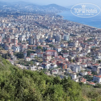 фото из отзыва ID 2340539